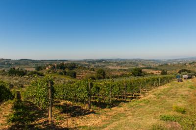 Cantina Sociale Colli Fiorentini Tuscany