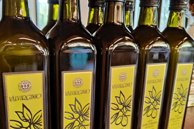 Cantina Sociale Colli Fiorentini Tuscany