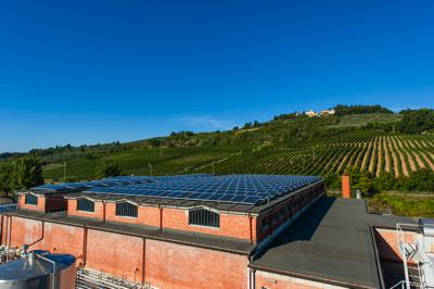 Cantina Sociale Colli Fiorentini Tuscany