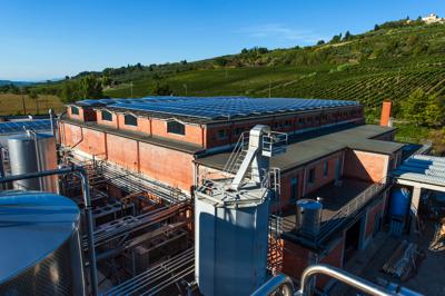 Cantina Sociale Colli Fiorentini Tuscany