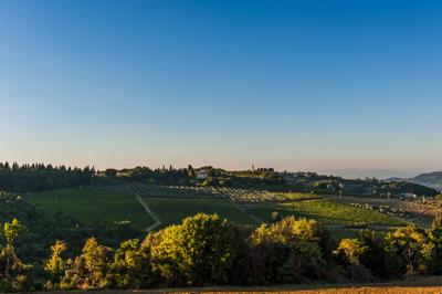 Cantina Sociale Colli Fiorentini Tuscany