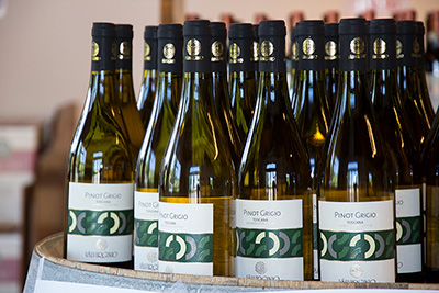 Cantina Sociale Colli Fiorentini Tuscany