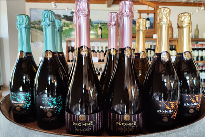 Cantina Sociale Colli Fiorentini Tuscany