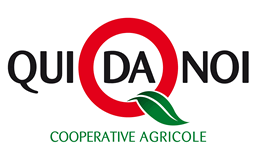 qui da noi