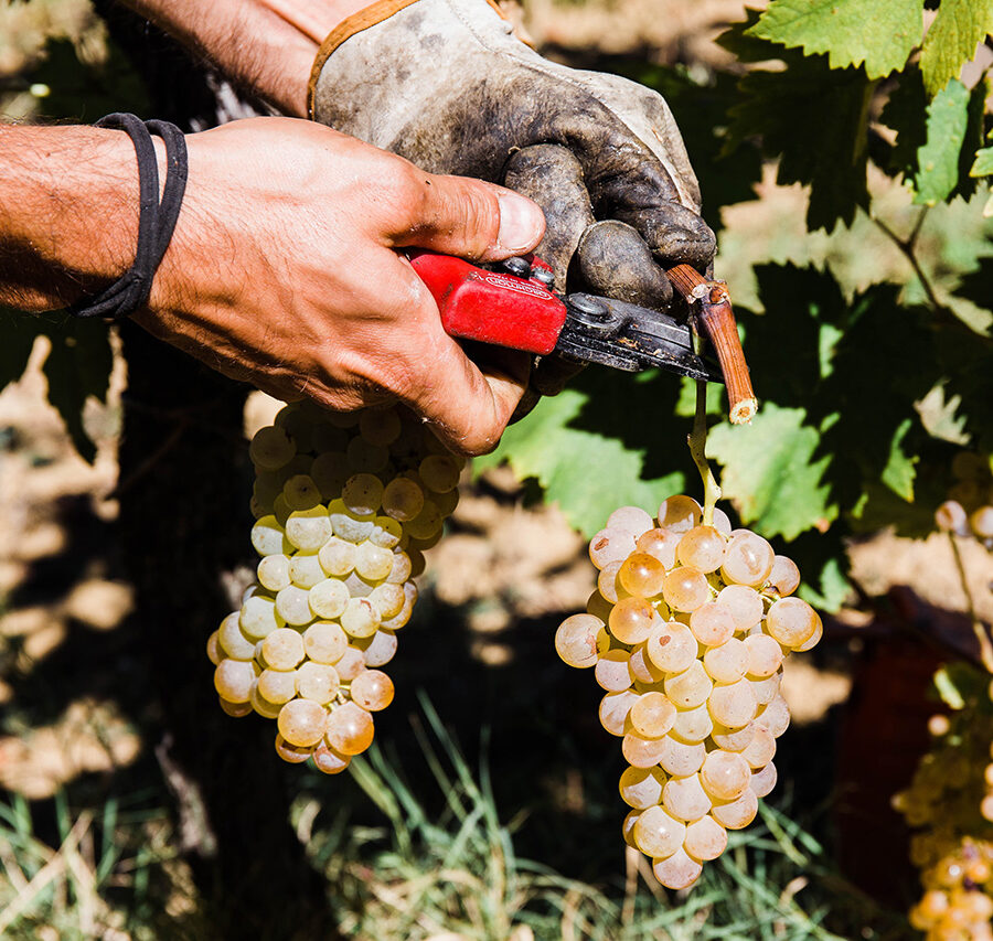 Post format video blogs